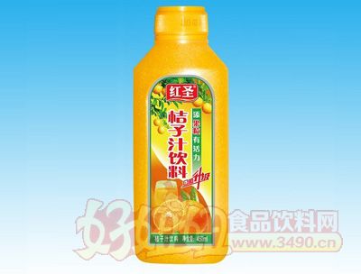 红圣桔子汁饮料450ml