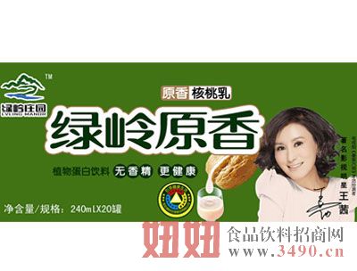 绿岭原香核桃乳240ml×20罐