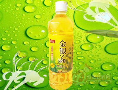 启益金银花植物饮料550ml