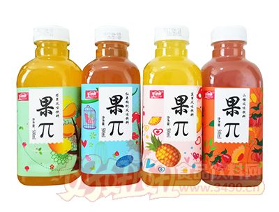 乐舒康果π果汁饮料500ml