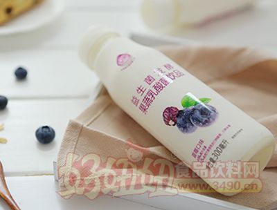 益生菌发酵果蔬乳酸菌饮品蓝莓味300毫升