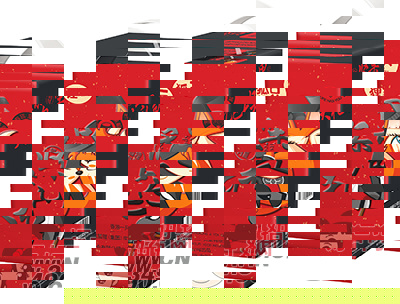 一只狐狸坚果大礼包礼盒