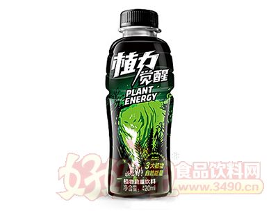 绿梦植物觉醒植物能量饮料420ml