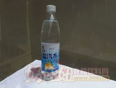 武汉盐汽水600ml瓶装