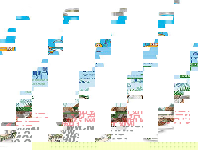 头一赞椰汁正宗椰子汁植物蛋白饮料1.25L