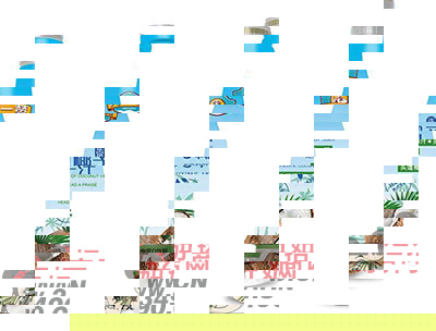 �^一�正宗椰子汁�^道椰汁植物蛋白�料1.25L