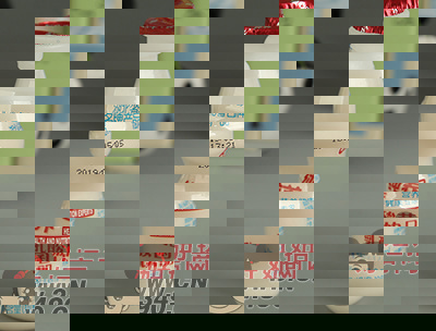 纯养小瓶乳酸菌饮品108ml