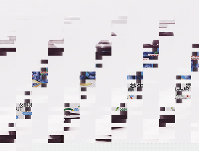 艾臣氏益生菌发酵蓝莓汁450ml