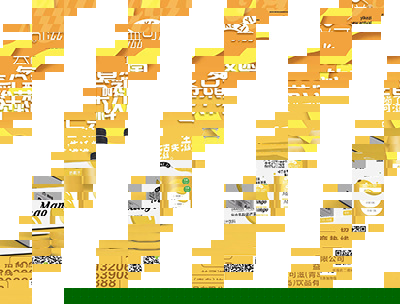 益可滋复合乳酸菌芒果汁饮料1.08L*8