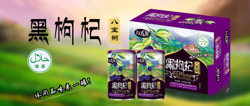 石家庄康达食品有限公司