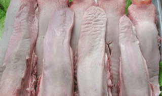 猪舌
