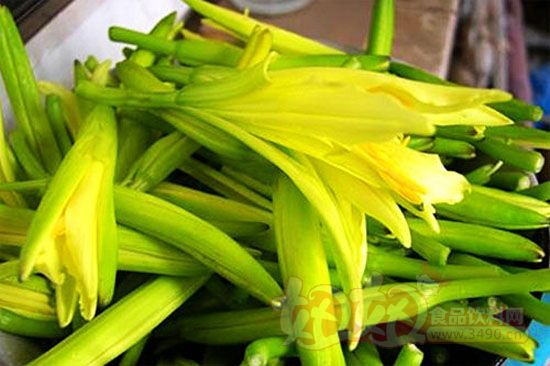 鲜黄花菜采用真空预冷技术保鲜