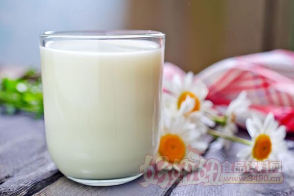 豆浆加牛奶更营养