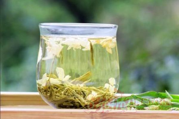 早上喝茉莉花茶好吗