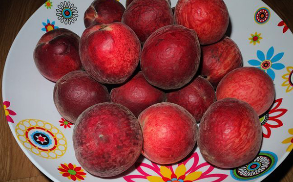 仙桃和血桃有什么区别仙桃是芍药属牡丹栽培品种,血桃为荔波血桃,色泽