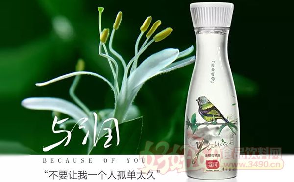 与润推出金银花甘露植物饮料