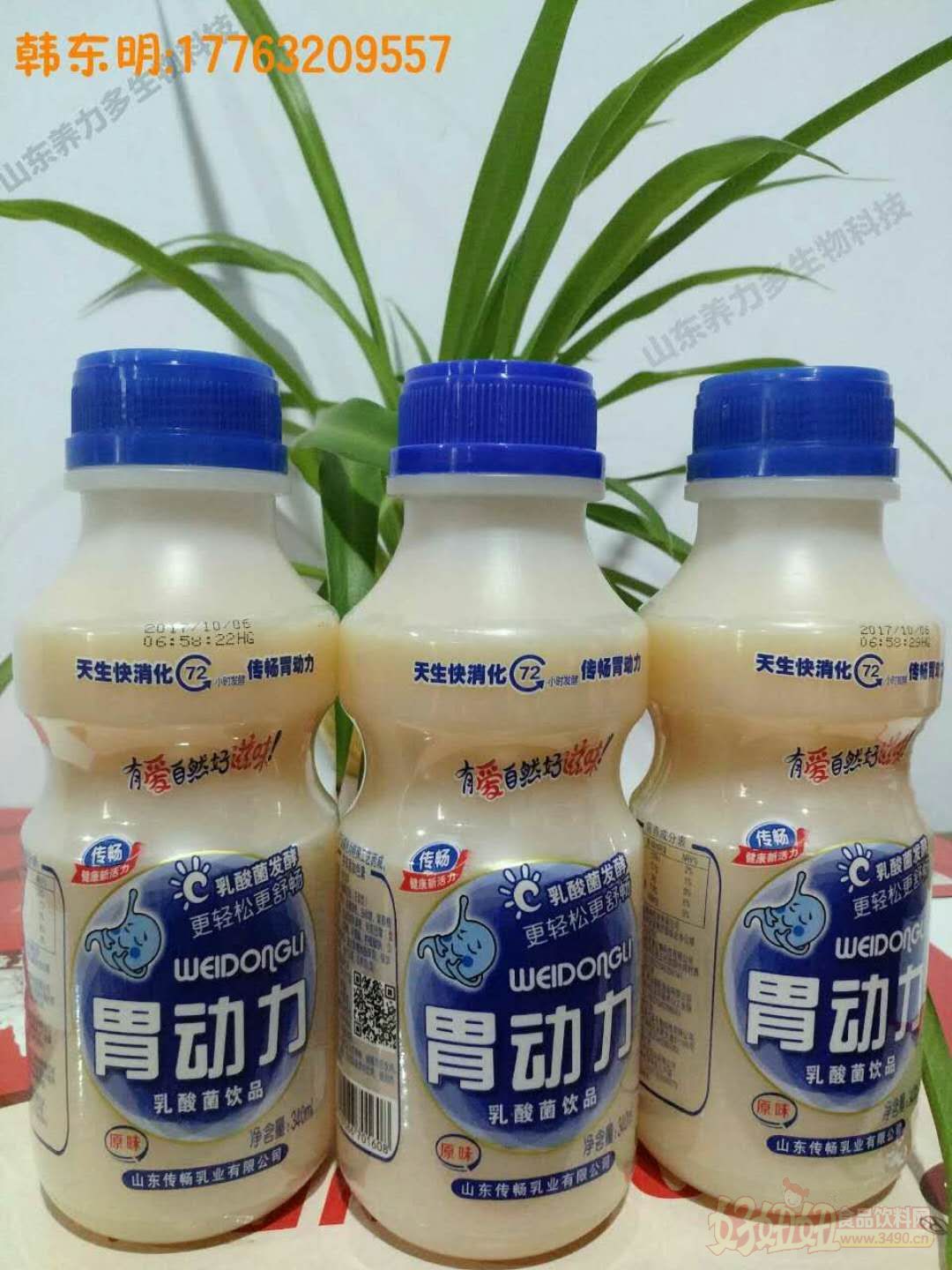 厂家供应传畅胃动力乳酸菌饮料