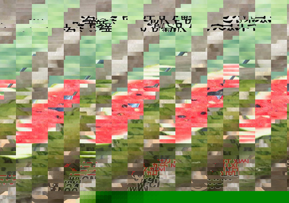 西瓜