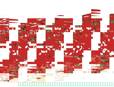 绿太山楂红果汁饮料320ml箱装