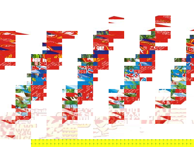椰果正宗果肉椰子汁1.25L×6瓶