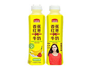 ���M福香蕉�t��牛奶500ml