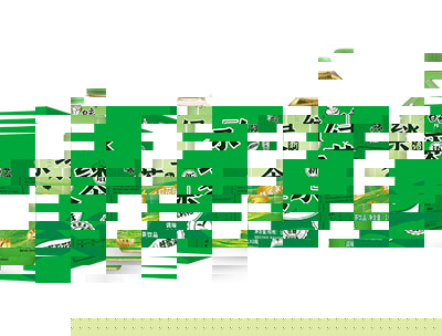 绿茶蜂蜜茉莉花味1L*8