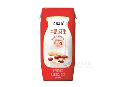 圣牧淳甄牛奶+花生复合蛋白饮品260g