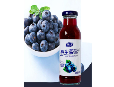 多彩之美野生蓝莓汁250ml