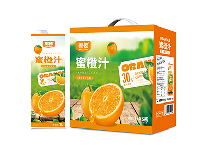 椰傣蜜橙汁复合果汁饮料1Lx6