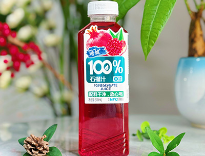 ʯ֭500ml