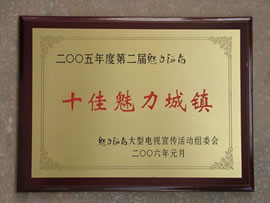 2006ʮ