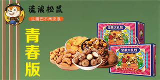 河南省流浪松鼠食品有限公司
