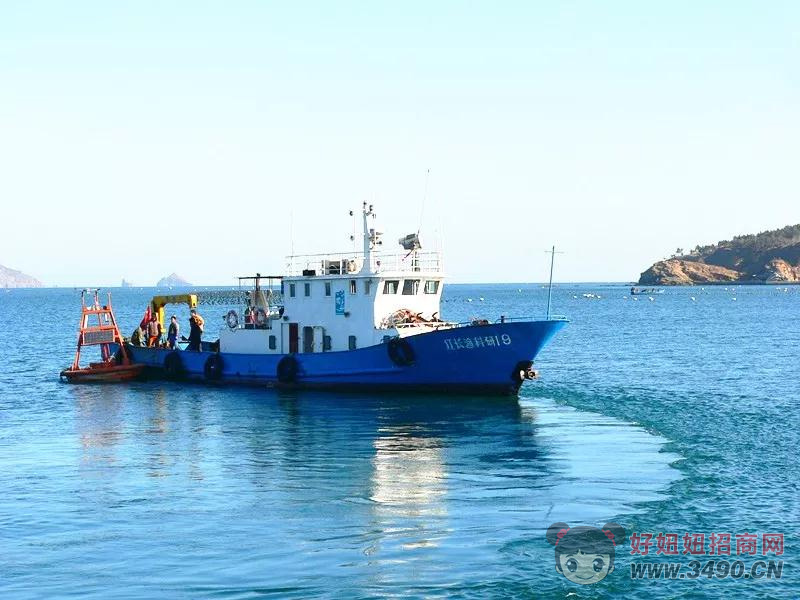 獐子岛海洋牧场图片